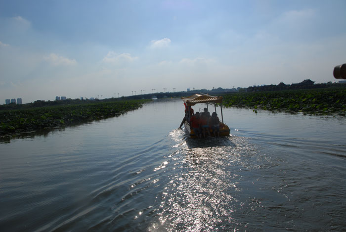 Ϧ�������ӭ�������ϰ�